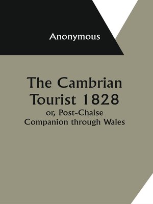 cover image of The Cambrian Tourist 1828
